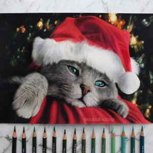 Christmas Cat - Age 12