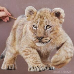 Lion Cub (in Process) - Age 12